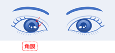 202503242341277074.Png